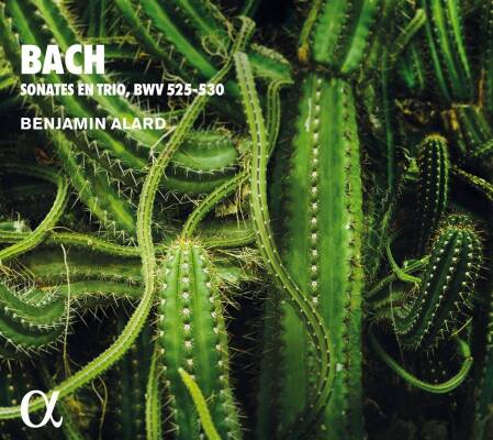 Bach Johann Sebastian - Sonates en Trio, BWV525-530 (Alard Benjamin)