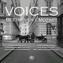 - Voices: Beethoven / Mozart (Negrin Javier &...