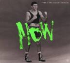 Fury In The Slaughterhouse - NOW