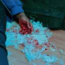 Kaonashi - DEAR LEMON HOUSE, YOU RUINED ME: SENIOR YEAR