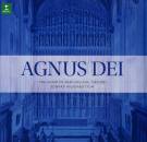 Albinoni Tomaso / Bach Johann Sebastian u.a. - Agnus Dei (Higginbottom,Edward/Choir of New College / 180Gr.)