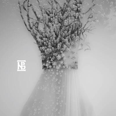 Negura Bunget - Zau (Buch Edition)