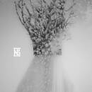 Negura Bunget - Zau (Buch Edition)