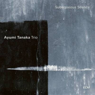 Tanaka Ayumi - Subaqueous Silence