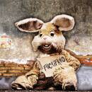 Peter & the Test Tube Babies - Fuctifano