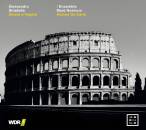 Stradella Alessandro - Amare e fingere (Ensemble Mare...