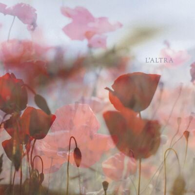 LAltra - In The Afternoon (Lp&Mp3 / Vinyl LP & Downloadcode)