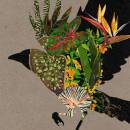 (at) 0 (Diverse Interpreten)