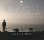 Halubek Jörg - Bach Organ Landscapes - Hamburg