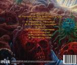 Needless - The Cosmic Cauldron