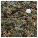 AnnenMayKantereit - Alles Nix Konkretes (2LP)