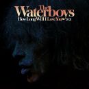 Waterboys, The - How Long Will I Love You 2021