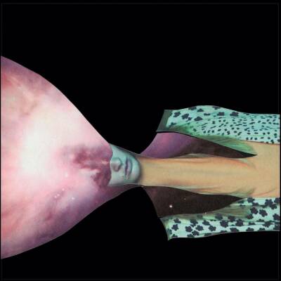 Painted Shield - PAINTED SHIELD 2