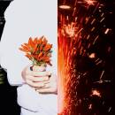 Mercato (Diverse Interpreten)