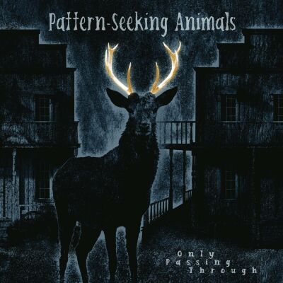Pattern-Seeking Animals - Only Passing Through (Gatefold Black 2Lp+ CD)