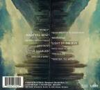 Buffalo Summer - Second Sun