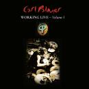 Palmer Carl Band - Working Live Vol.1