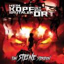 Ton Steine Sterben (Diverse Interpreten)