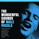 Wonderful Sounds of Male Vocals, The (Diverse Interpreten)