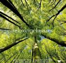 Bach Johann Sebastian / u.a. - Relaxing Classics...