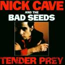 Cave Nick & The Bad Seeds - Tender Prey