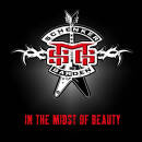 Schenker Michael Group - In The Midst Of Beauty