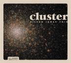 Joray Silvan Trio - Cluster