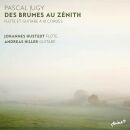 Jugy Pascal - Des Brumes Au Zenith (Hustedt Johannes)