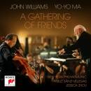 Williams John - A Gathering Of Friends (Williams John /...