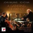 Williams John - A Gathering of Friends (Williams John /...