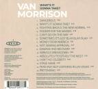 Morrison Van - Whats It Gonna Take