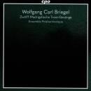 Briegel Wolfgang Carl - 12 Madrigalische Trostgesaenge...
