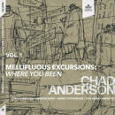 Anderson Chad - Mellifluous Excursions Vol.1: Where You Been