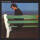 Boz Scaggs - Silk Degrees