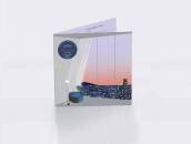 What Do The Stars Say To You (Diverse Interpreten /...