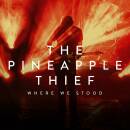 Pineapple Thief, The - Where We Stood