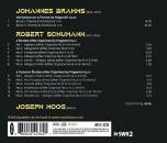 Brahms Johannes / Schumann Robert - Paganini Variations & Etudes After Caprices (Moog Joseph)