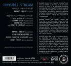 Diverse - Invisible Stream (Imbert Raphael / Queyras Jean-Guihen u.a.)