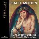 Bach Johann Sebastian - Motets (La Chapelle Harmonique - Valntin Tournet (Dir))