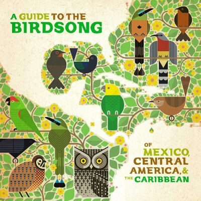 A Guide To The Birdsongs Of Mexico, Central Americ (Diverse Interpreten)
