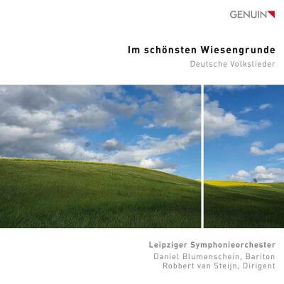Silcher - Mendelssohn - Schubert - Mozart - U.a. - Im Schönsten Wiesengrunde: Deutsche Volkslieder (Daniel Blumenschein (Bariton))