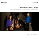 Mayer Emilie - Missing Link: Emilie Mayer (Klaviertrio...