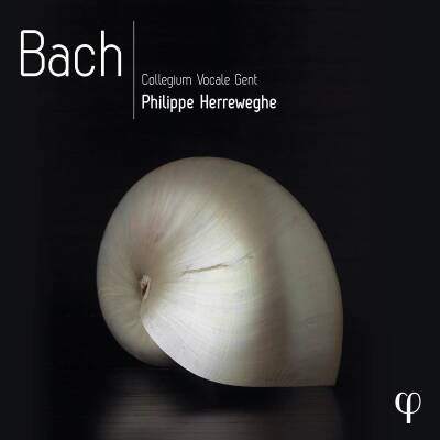 Bach Johann Sebastian - Bach (Collegium Vocale Gent / Herreweghe Philippe)