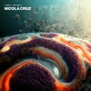 Cruz Nicola - Fabric Presents Nicola Cruz (Mixed)