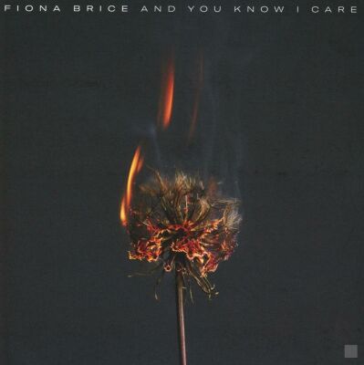 Brice Fiona - And You Know I Care