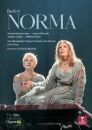 Bellini VIncenzo - Norma (Didonato Joyce / Radvanovsky Sondra / Calleja J. / DVD Video)