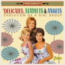 Delicates Starlets & Angels - Evolution Of A Vocal Group