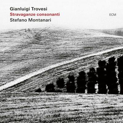Trovesi Gianluigi / Montanari Stefano - Stravaganze Consonanti