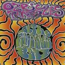 Ozric Tentacles - At The Pongmasters Ball (DVD Video...