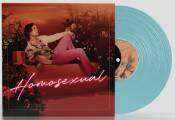 Hayes Darren - Homosexual (Turquoise Vinyl 2LP)